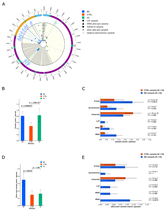DNA Analysis Links Mitochondrial Dysfunction to Bipolar Disorder