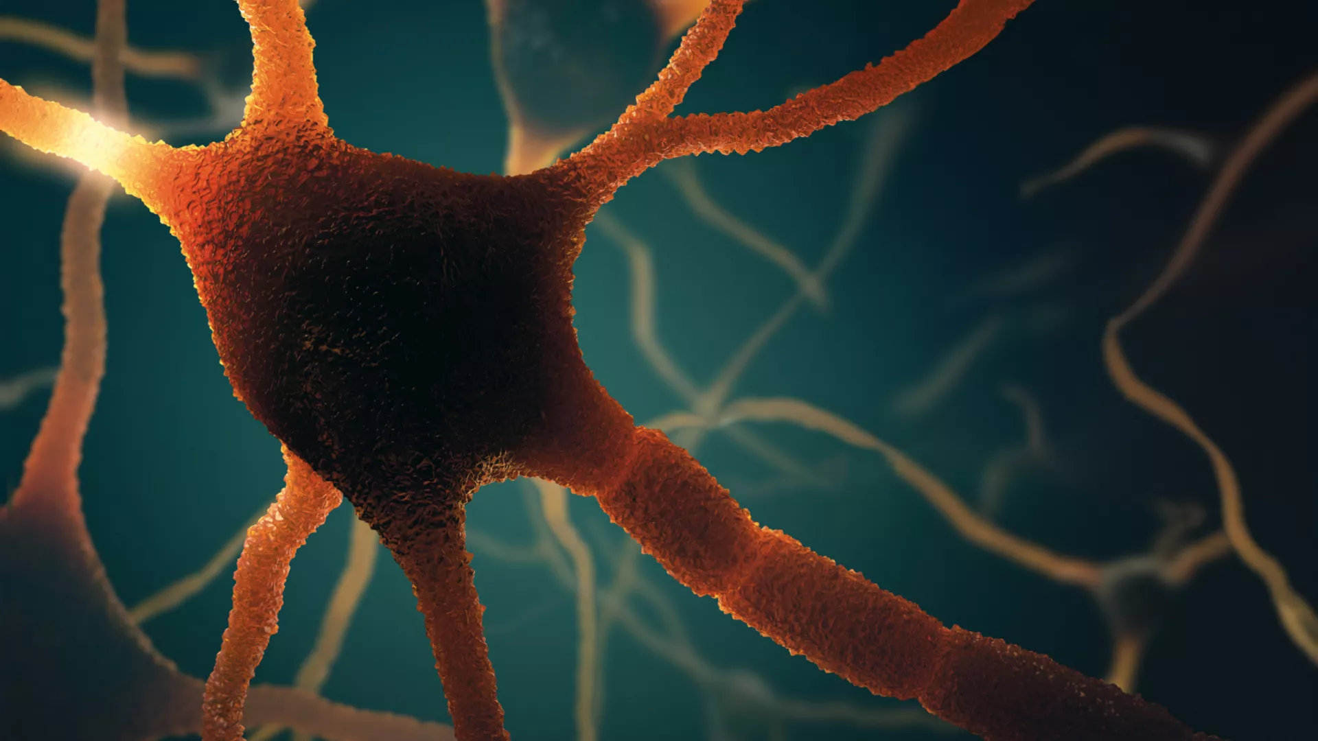 Research highlights depression's impact on Alzheimer's patients
