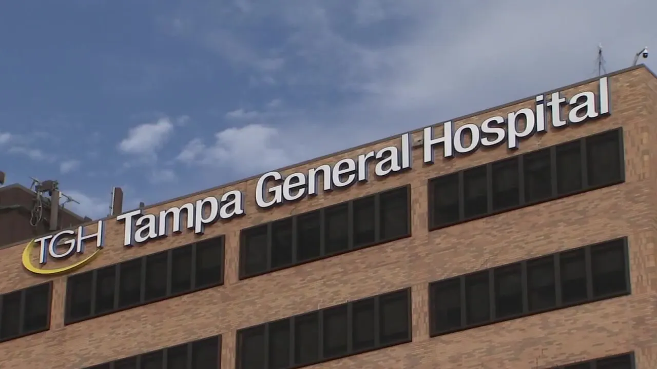 Tampa General Hospital launches program for new moms' mental health