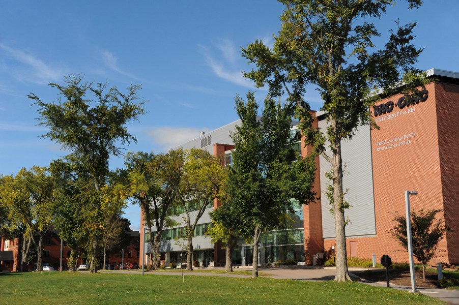UPEI ADHD Program Transfers to Health PEI to Expand Services
