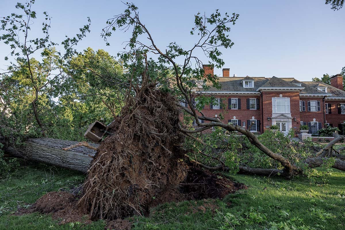 WashU expert outlines mental health strategies after storms